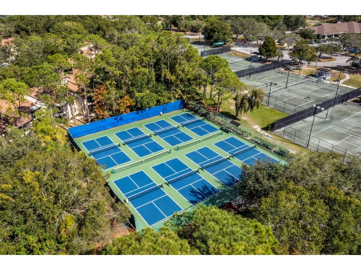 106 Lakeview Place #106 Oldsmar FL 34677 TB8411641 image41