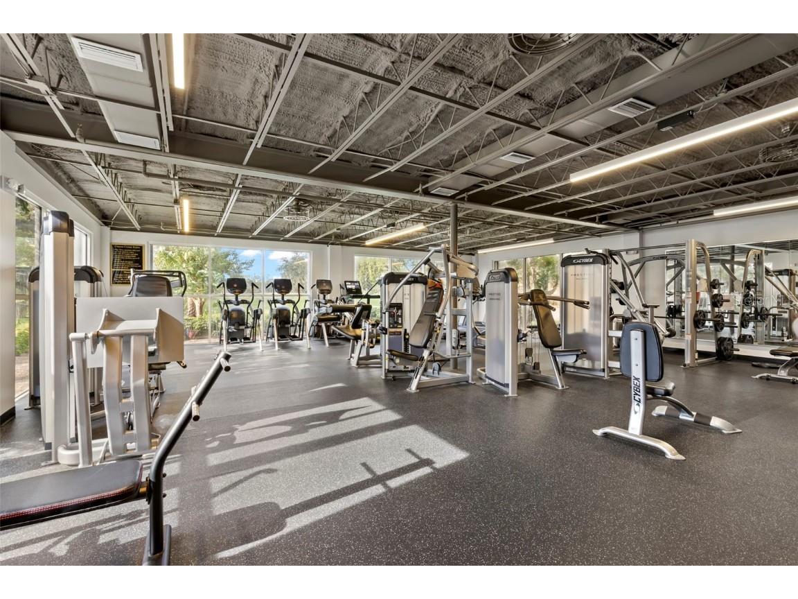 106 Lakeview Place #106 Oldsmar FL 34677 TB8411641 image51