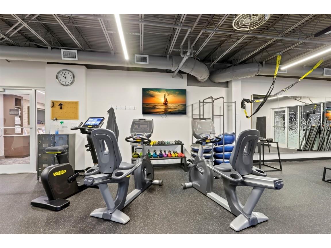 106 Lakeview Place #106 Oldsmar FL 34677 TB8411641 image52