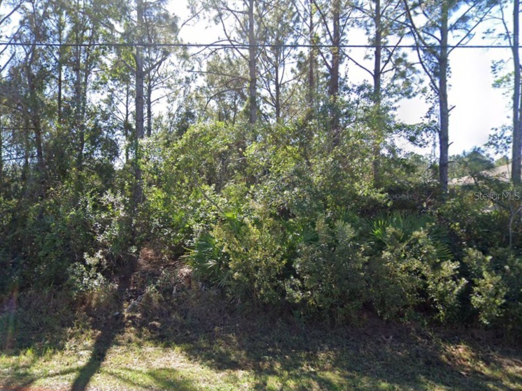 106 Lee Drive Palm Coast FL 32137 FC311860 image2