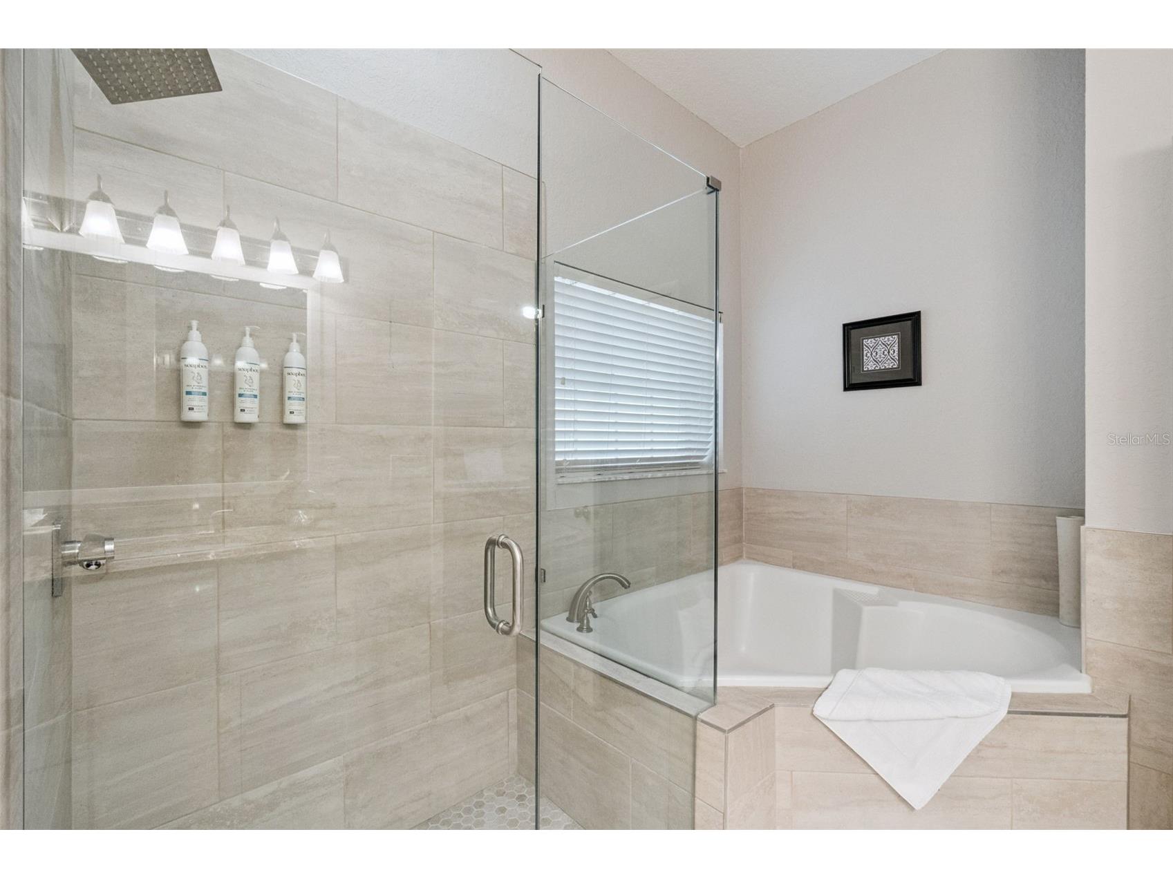 106 Lucaya Loop Davenport FL 33897 S5147343 image19