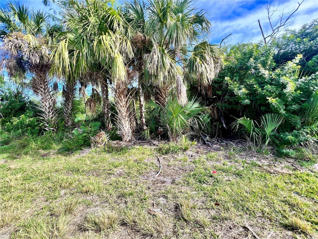 106 Morningstar Drive Punta Gorda FL 33950 C7484178 image1
