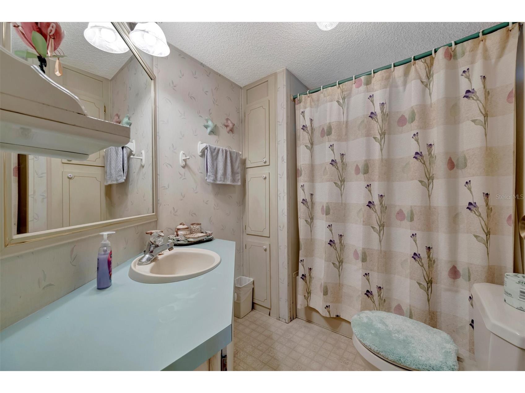 106 N Saint George Circle Apollo Beach FL 33572 TB8468849 image20