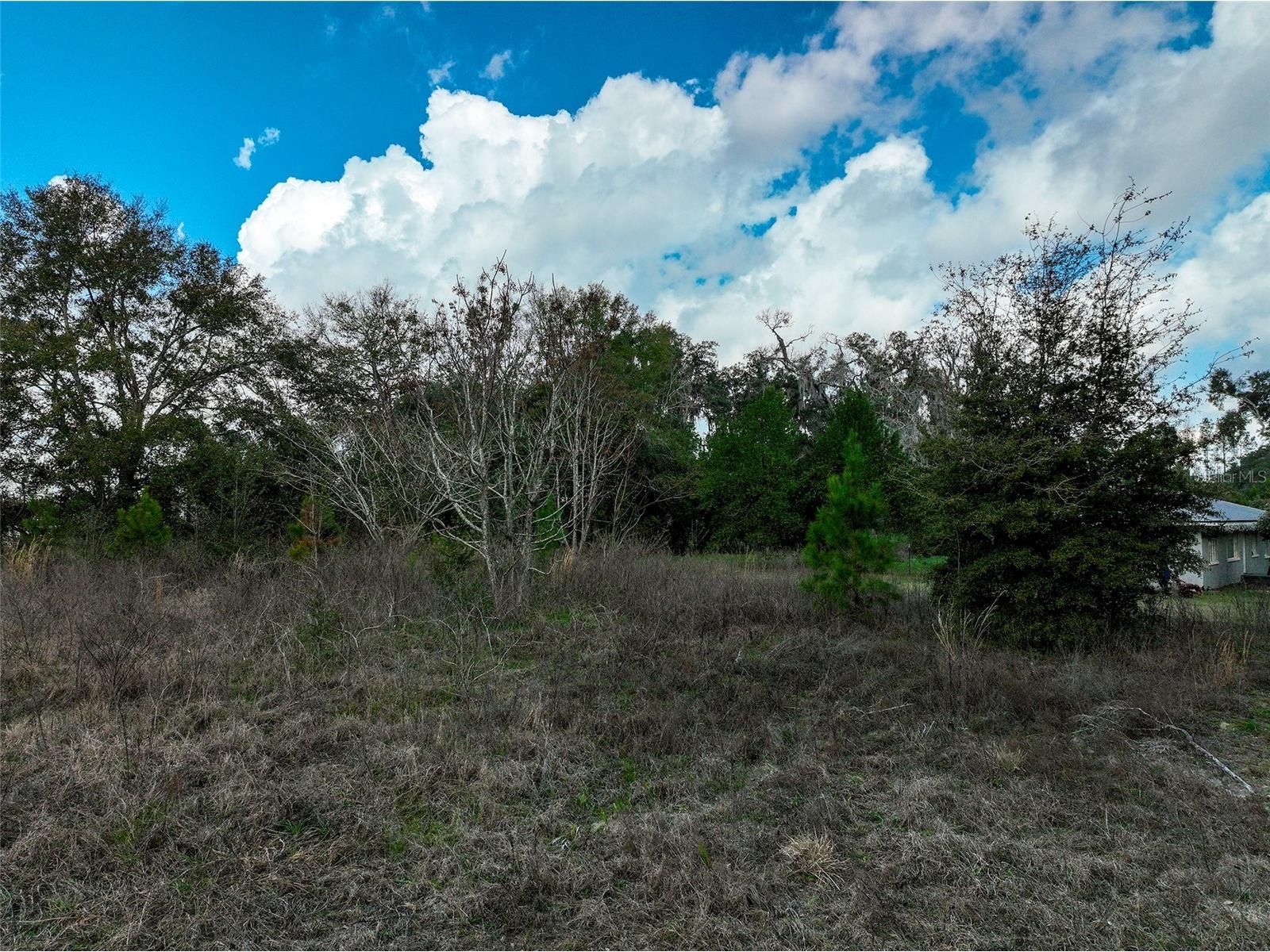 106 NW Fat Cat Court Lake City FL 32055 A4684124 image16