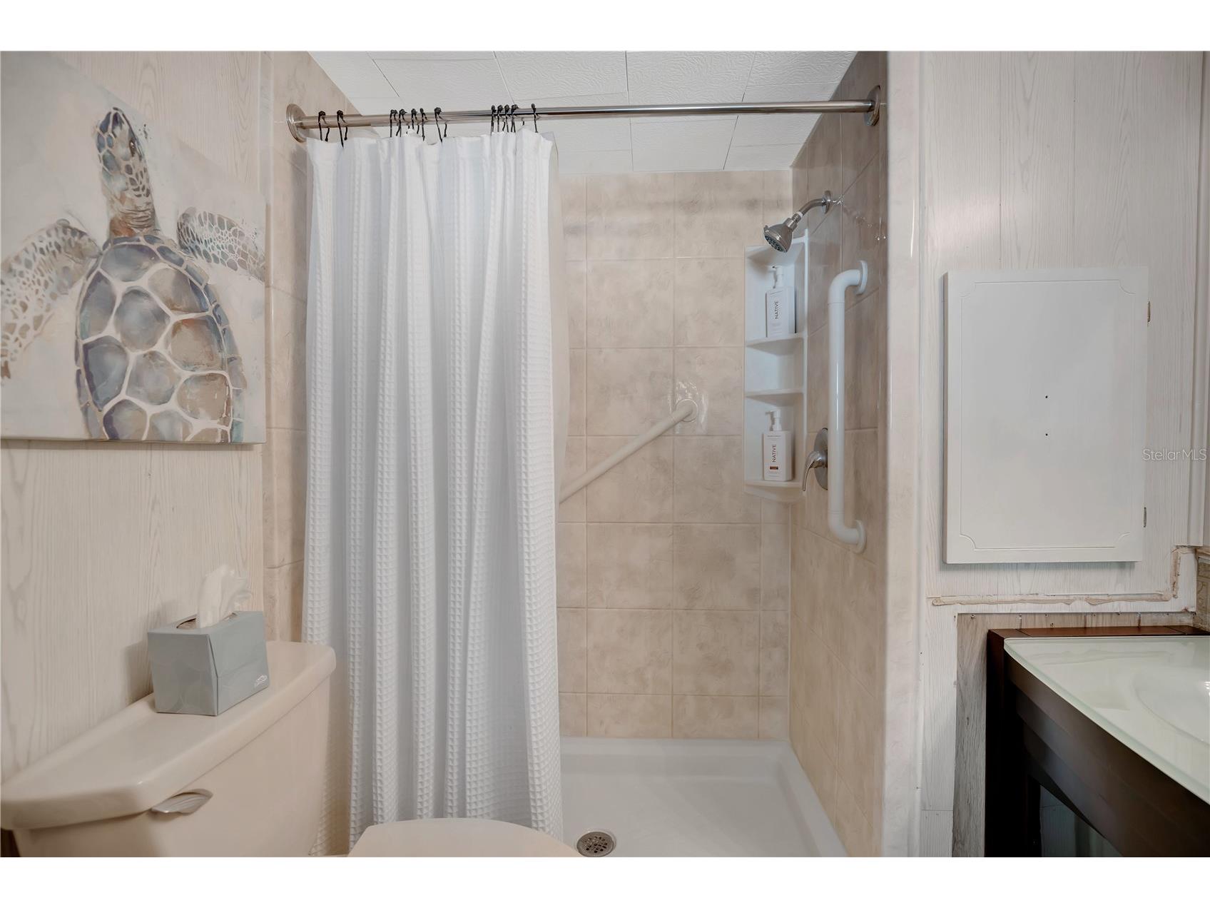 106 Palm Drive Debary FL 32713 O6390349 image17