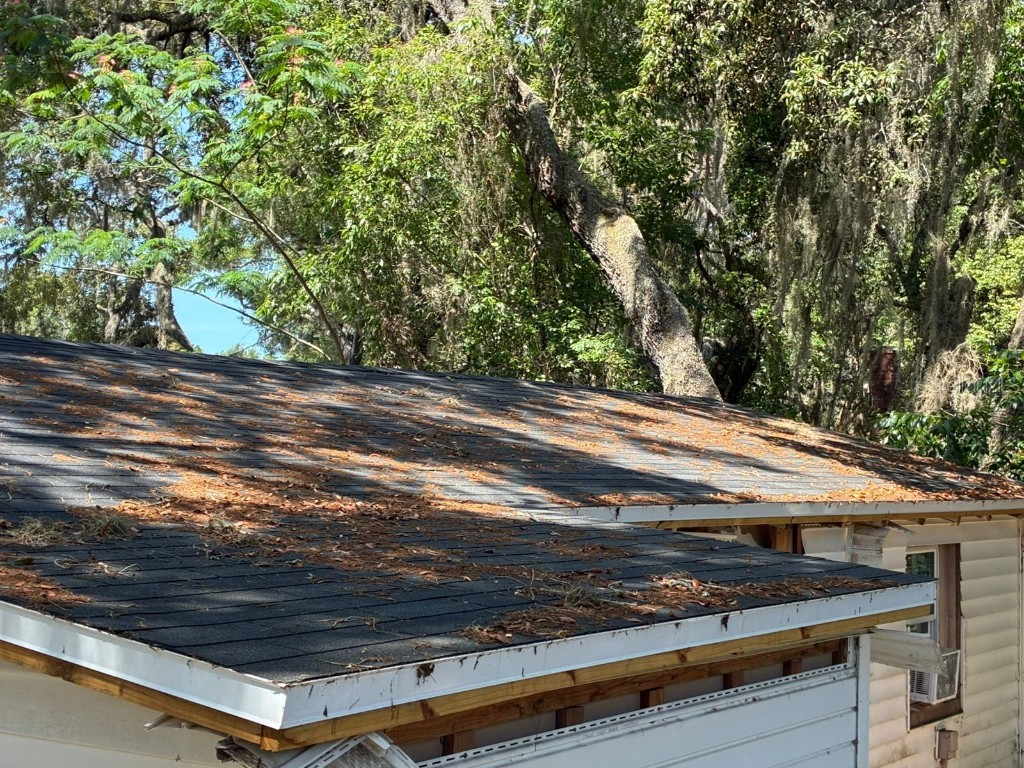 106 Pennsylvania Avenue Pomona Park FL 32181 S5128044 image11