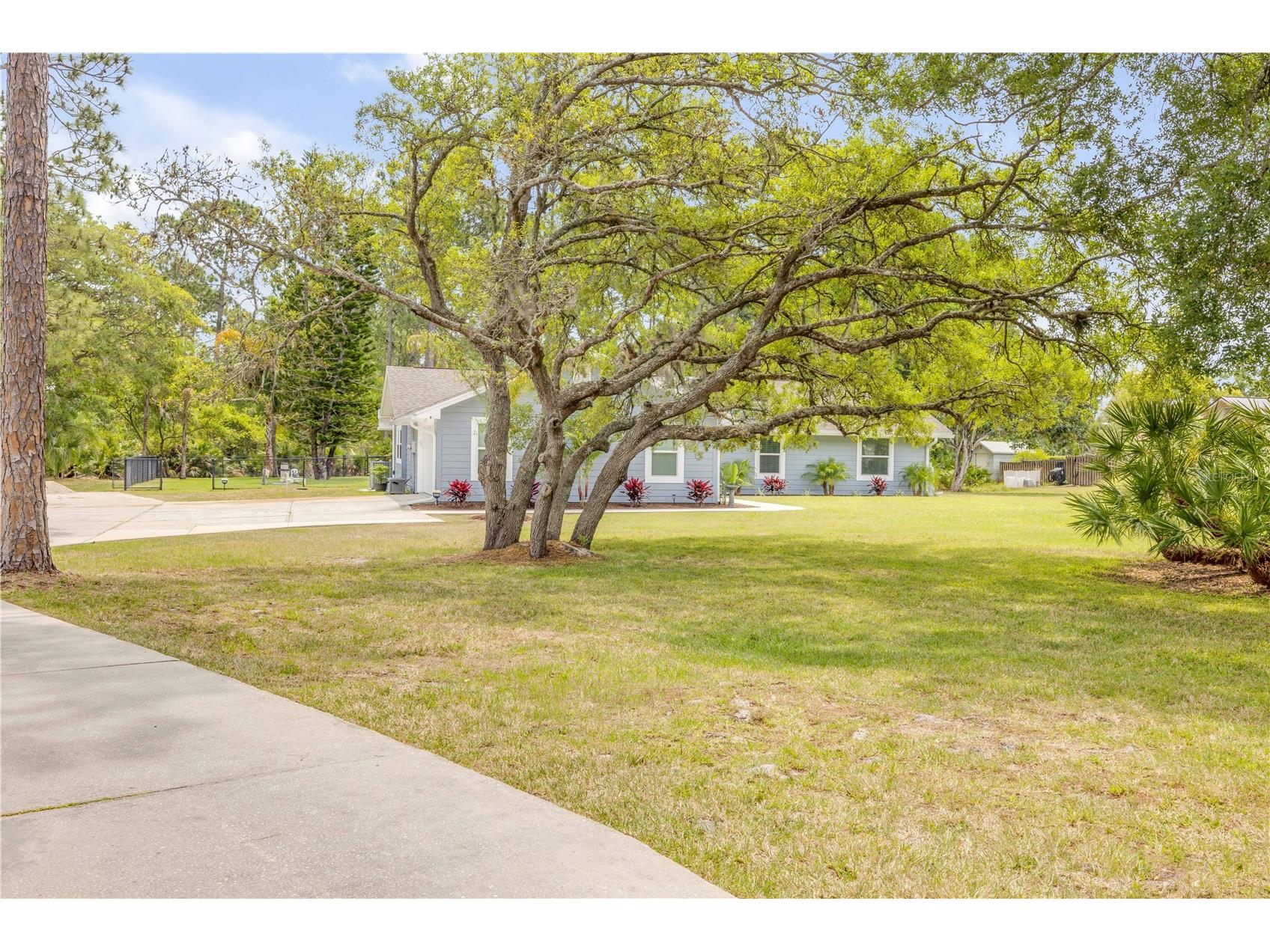 106 Pine Tree Drive Ormond Beach FL 32174 O6421643 image3