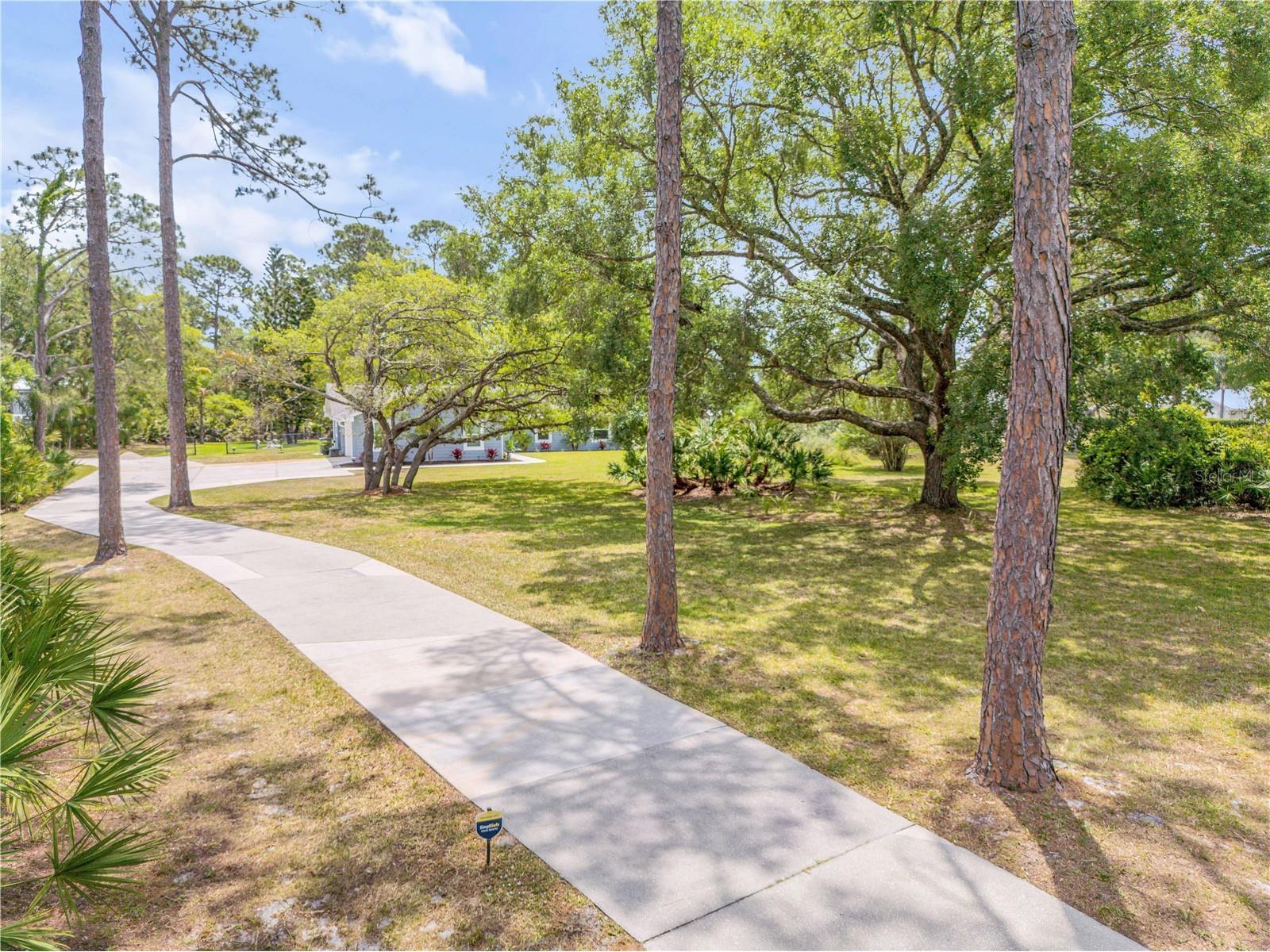 106 Pine Tree Drive Ormond Beach FL 32174 O6421643 image4