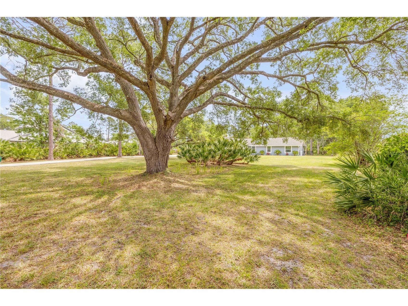 106 Pine Tree Drive Ormond Beach FL 32174 O6421643 image7