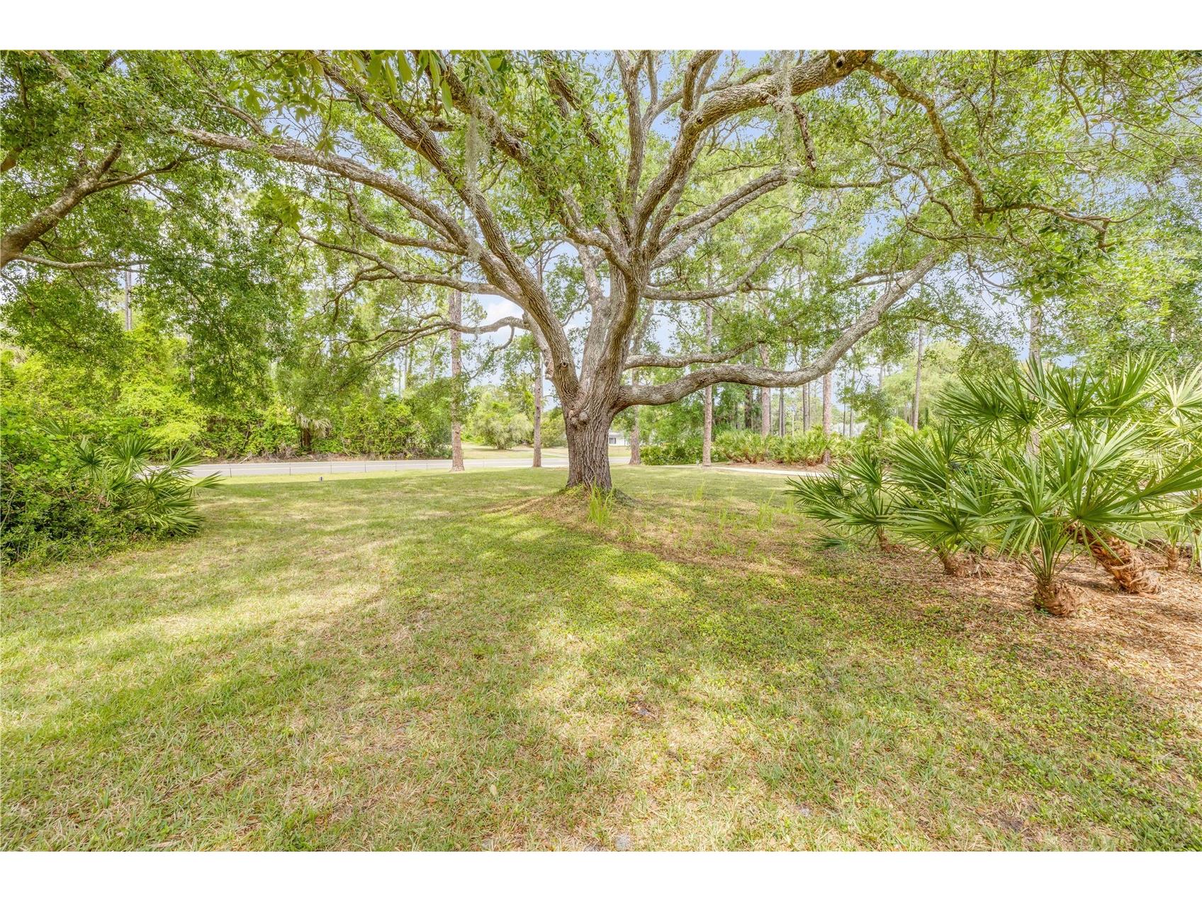 106 Pine Tree Drive Ormond Beach FL 32174 O6421643 image8