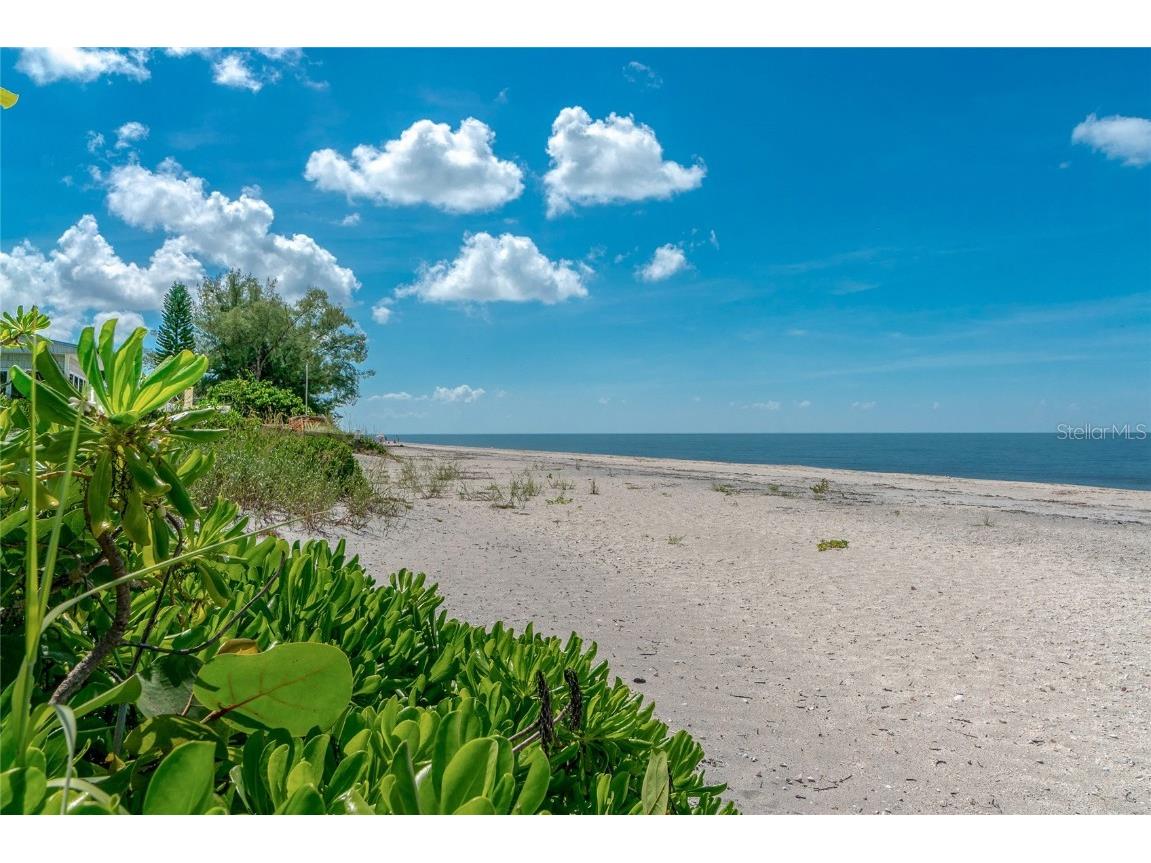 106 Rebel Court Rotonda West FL 33947 D6145048 image41