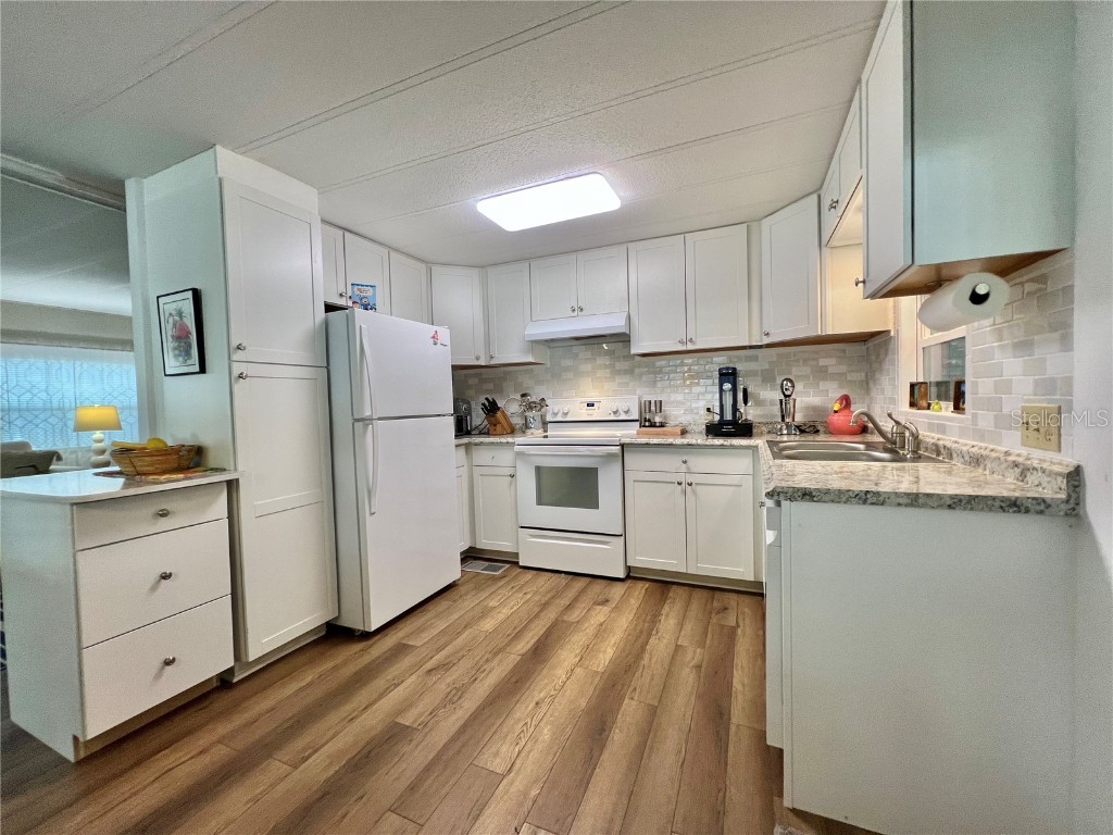 106 Royal Palm Drive Leesburg FL 34748 G5105189 image9