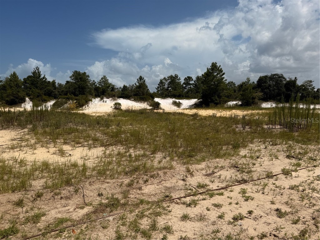 106 Shrine Club Road Crescent City FL 32112 V4943819 image44