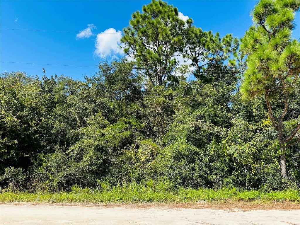 106 Sunland Drive Satsuma FL 32189 FC304089 image1