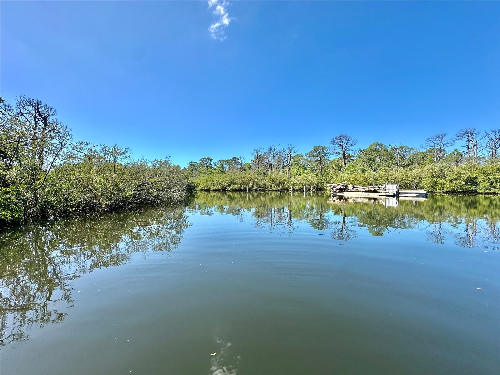 106 Sunrise Drive Palm Harbor FL 34683 OM722096 image24
