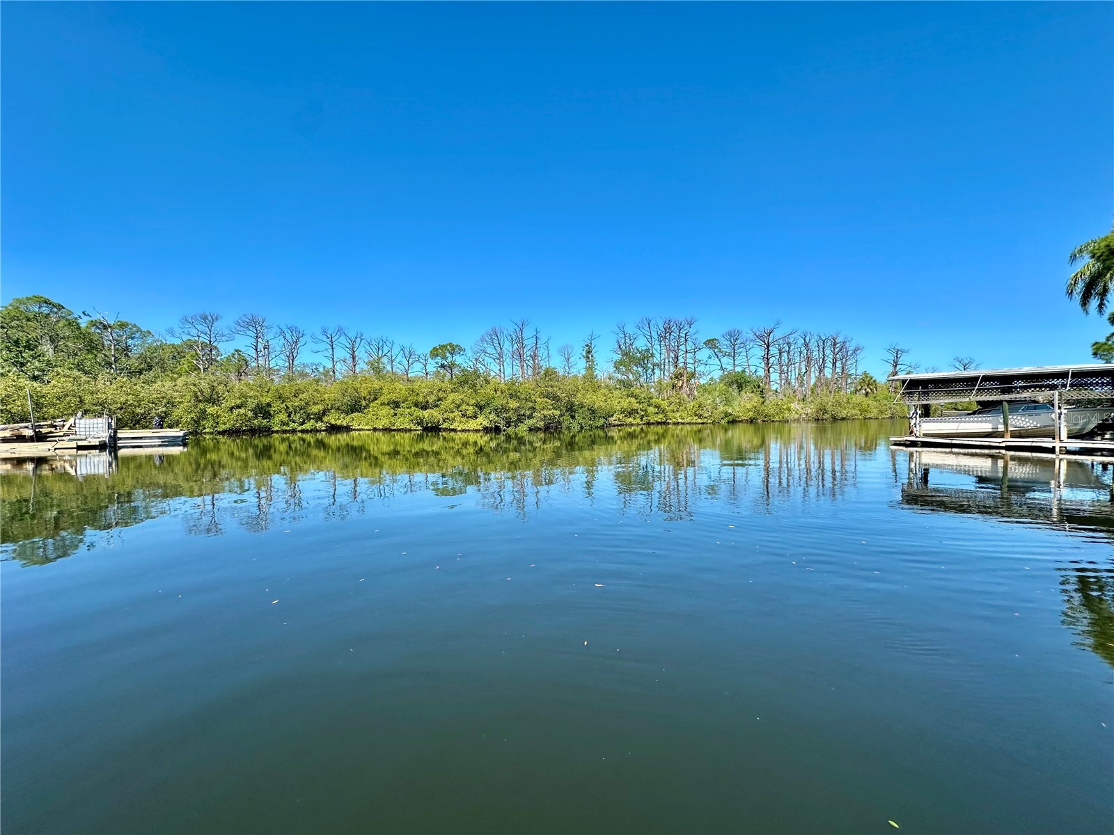 106 Sunrise Drive Palm Harbor FL 34683 OM722096 image25