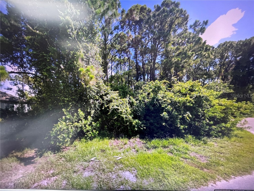 106 Turtle Drive Rotonda West FL 33947 O6195866 image1