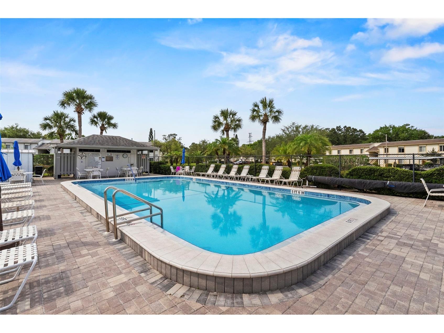 106 W Cypress Ct #106 Oldsmar FL 34677 TB8508738 image24