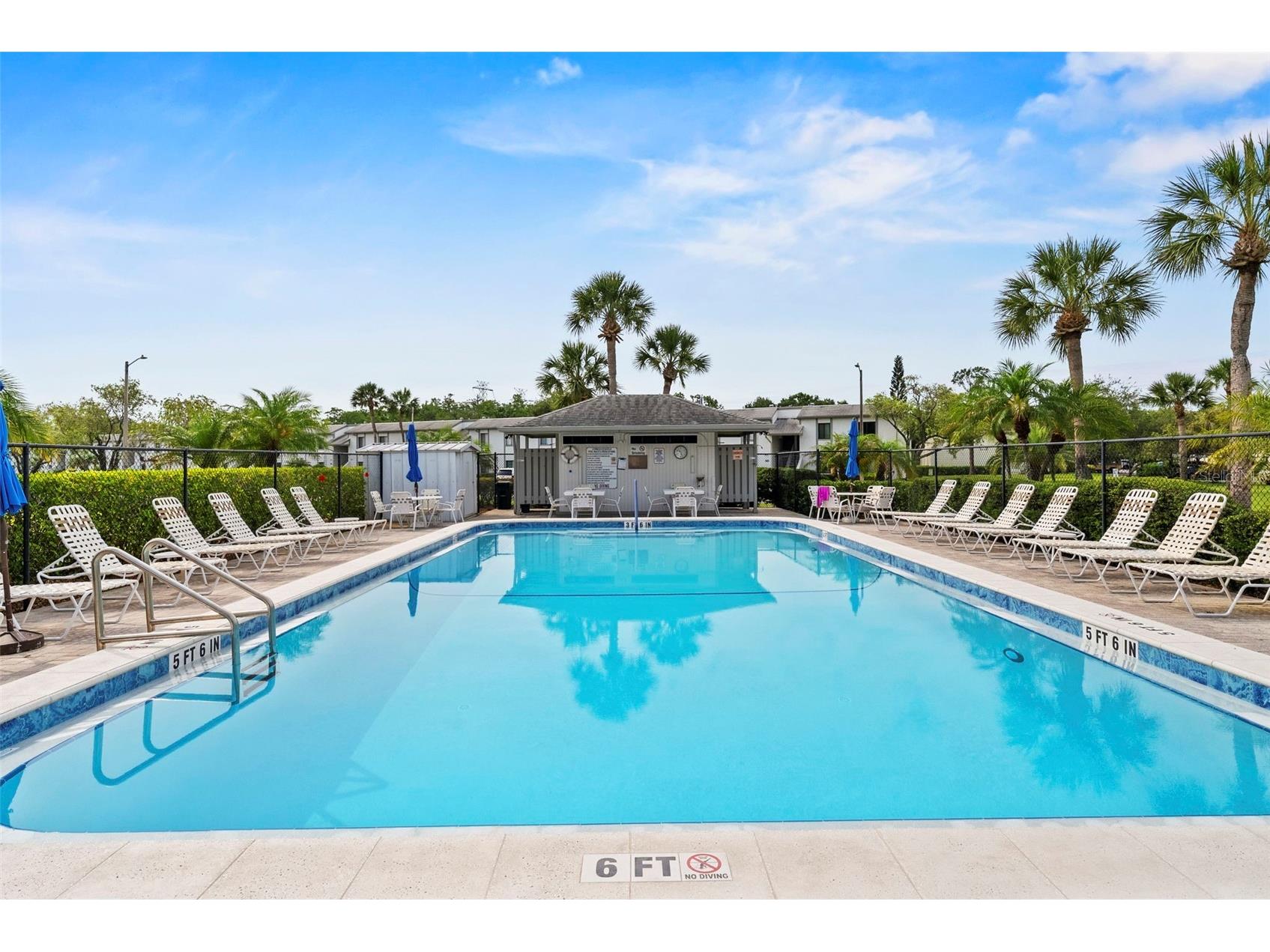 106 W Cypress Ct #106 Oldsmar FL 34677 TB8508738 image25