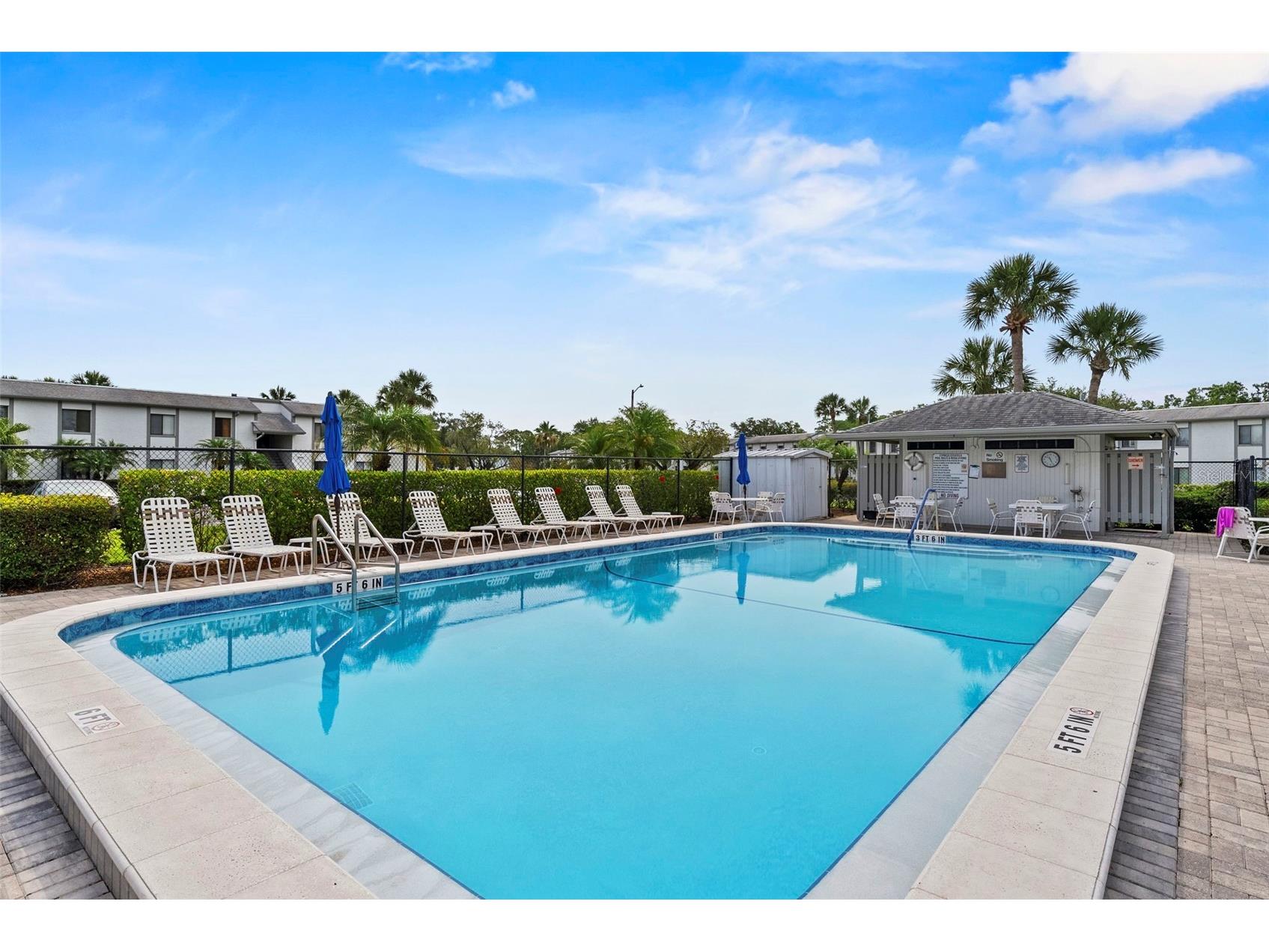 106 W Cypress Ct #106 Oldsmar FL 34677 TB8508738 image26