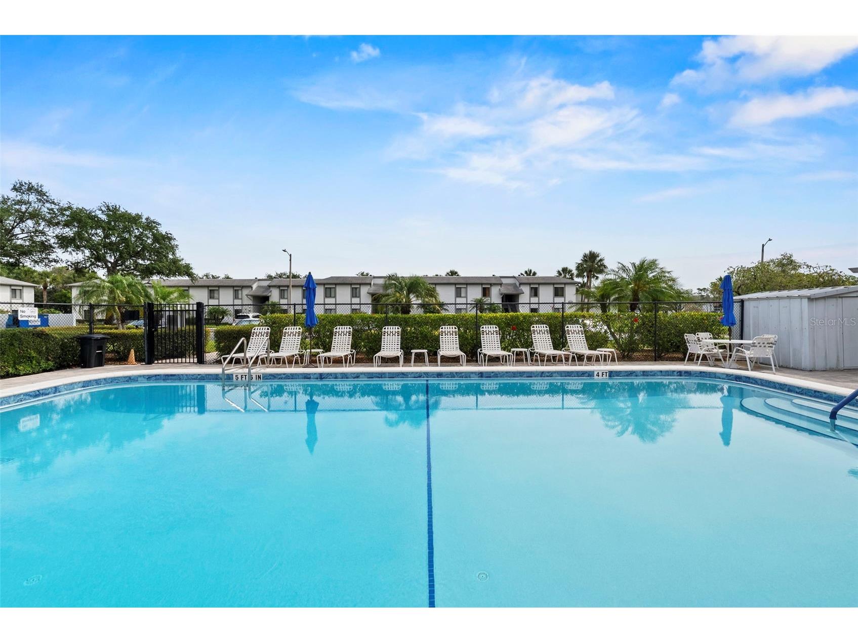106 W Cypress Ct #106 Oldsmar FL 34677 TB8508738 image27