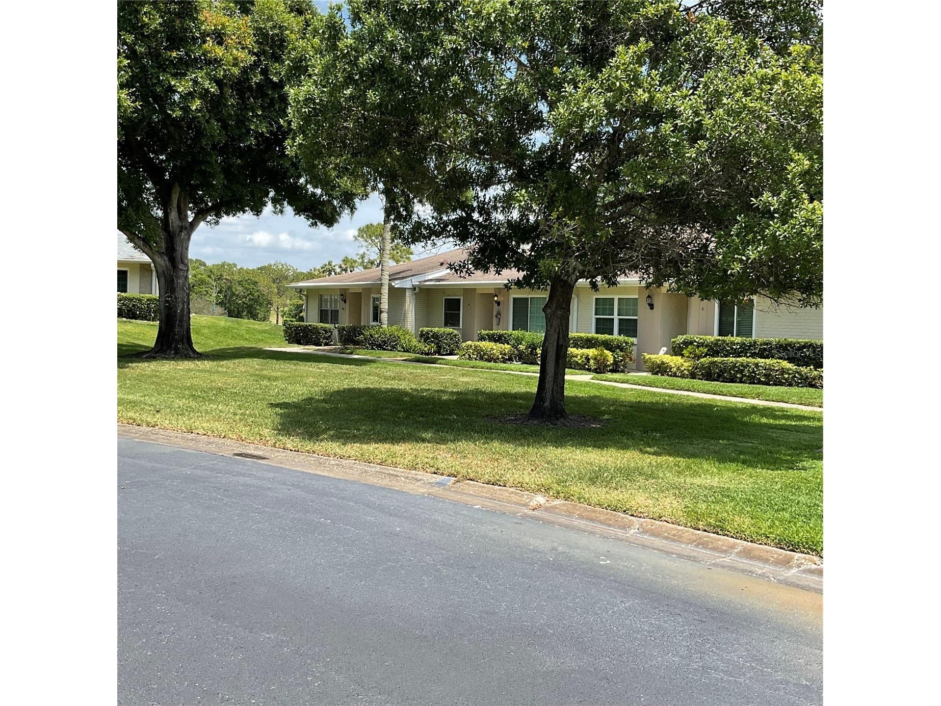 1060 Dunrobin Drive #A Palm Harbor FL 34684 W7884750 image22