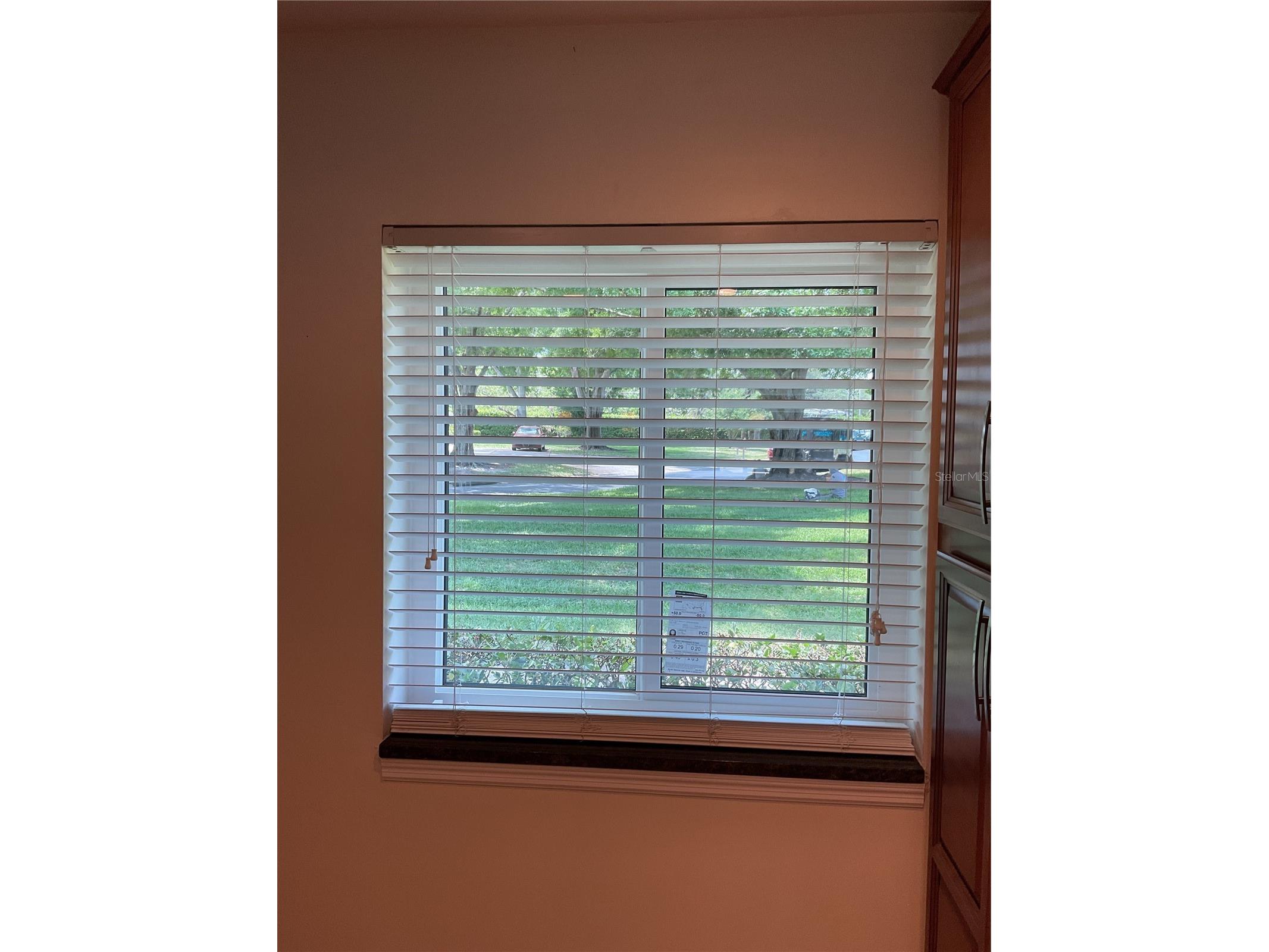 1060 Dunrobin Drive #A Palm Harbor FL 34684 W7884750 image8