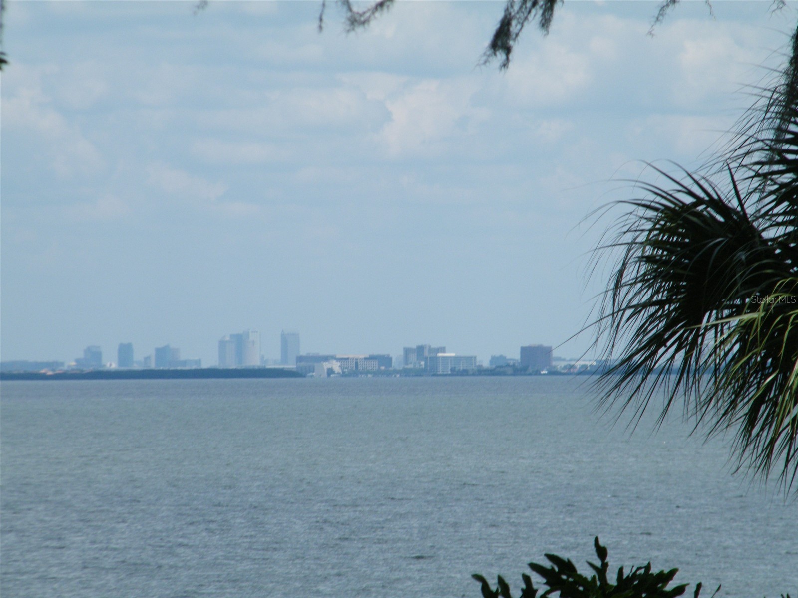 1060 Jesse Avenue Safety Harbor FL 34695 W7881797 image34