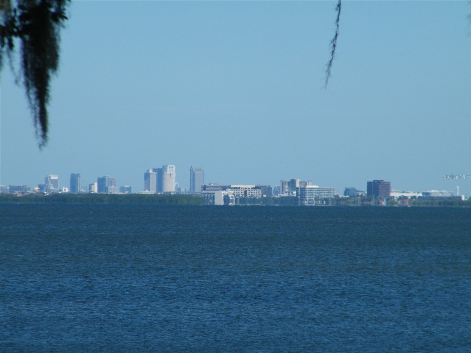 1060 Jesse Avenue Safety Harbor FL 34695 W7881797 image35