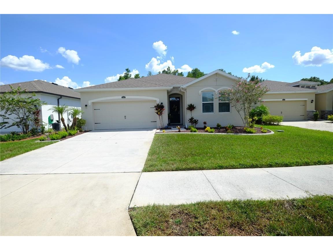 1060 Manzanar Place Wesley Chapel FL 33543 T3465772 image1