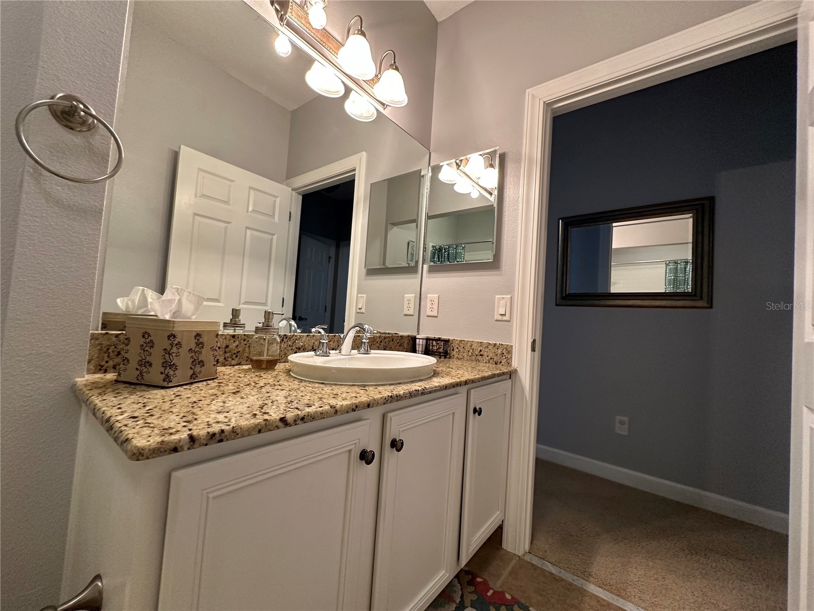 10600 Lemon Creek Loop #101 Englewood FL 34224 C7526046 image38