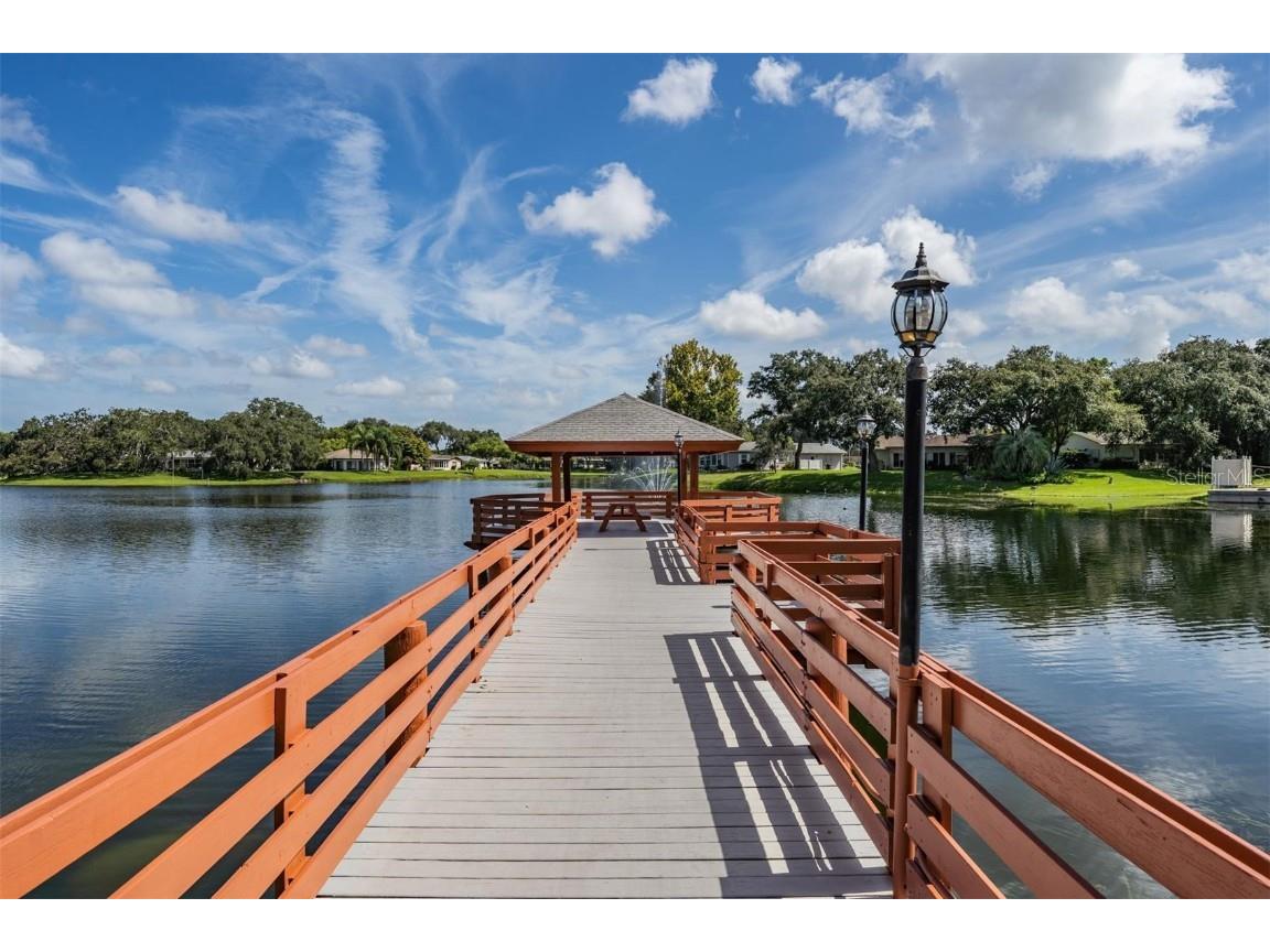 10600 Mira Vista Drive Port Richey FL 34668 W7880951 image41