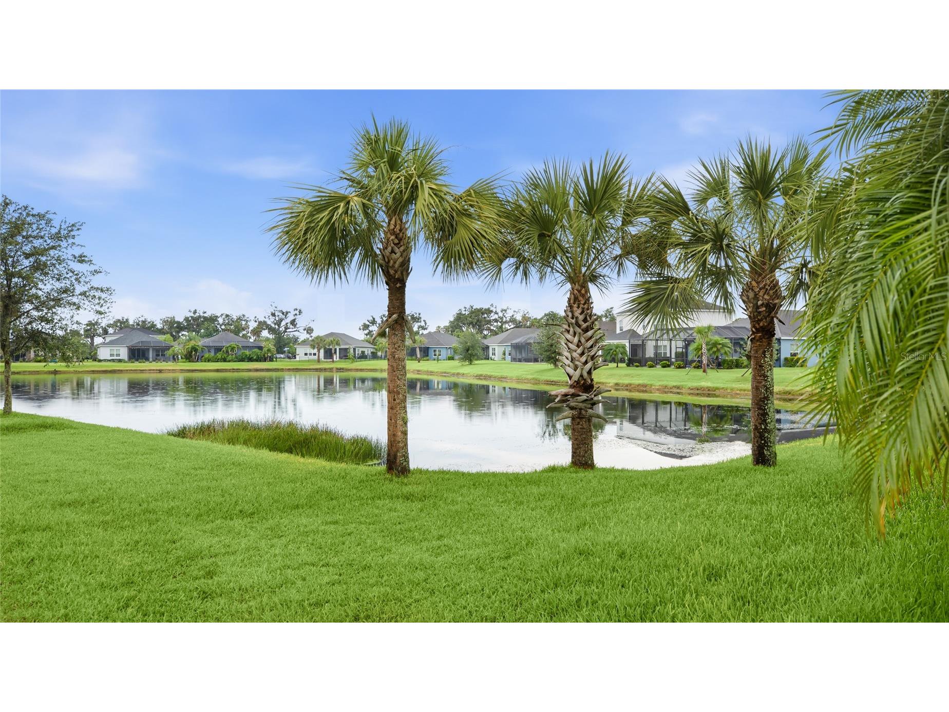 10601 Falling Leaf Court Parrish FL 34219 A4698500 image29