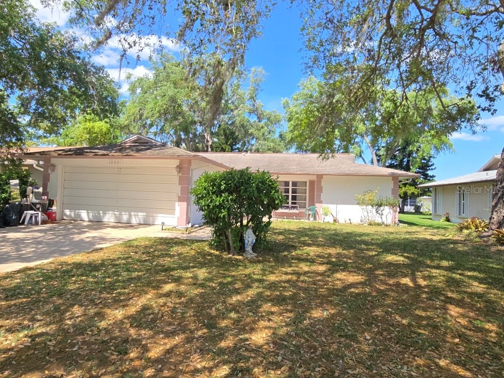 10601 Farnam Court Port Richey FL 34668 TB8369684 image1