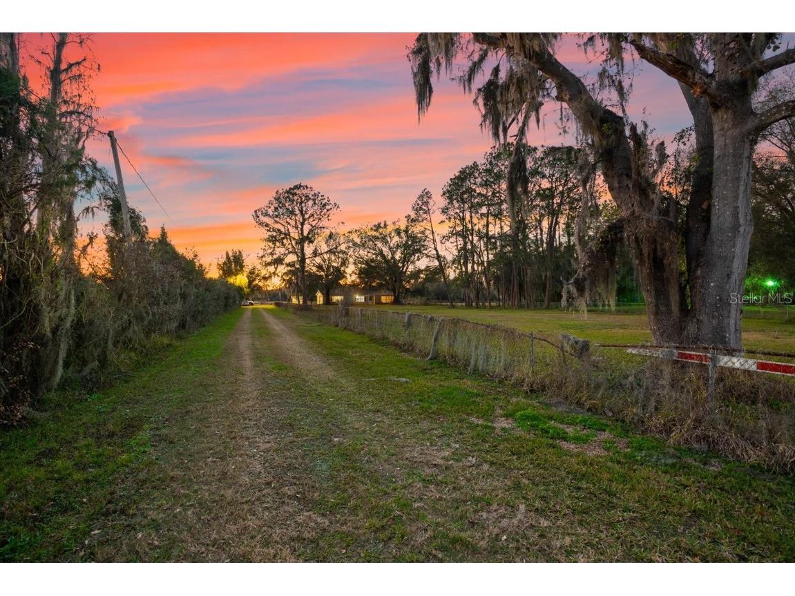 10601 Paul S Buchman Plant City FL 33565 TB8340780 image1