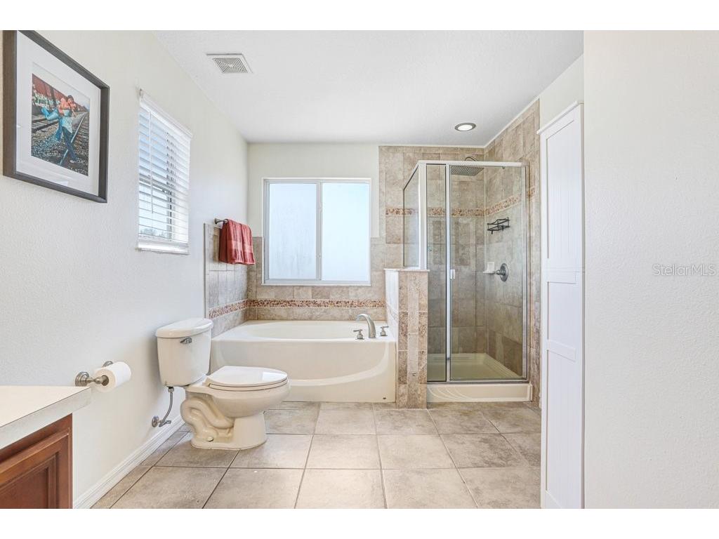 10602 Bamboo Rod Circle Riverview FL 33569 TB8501708 image33