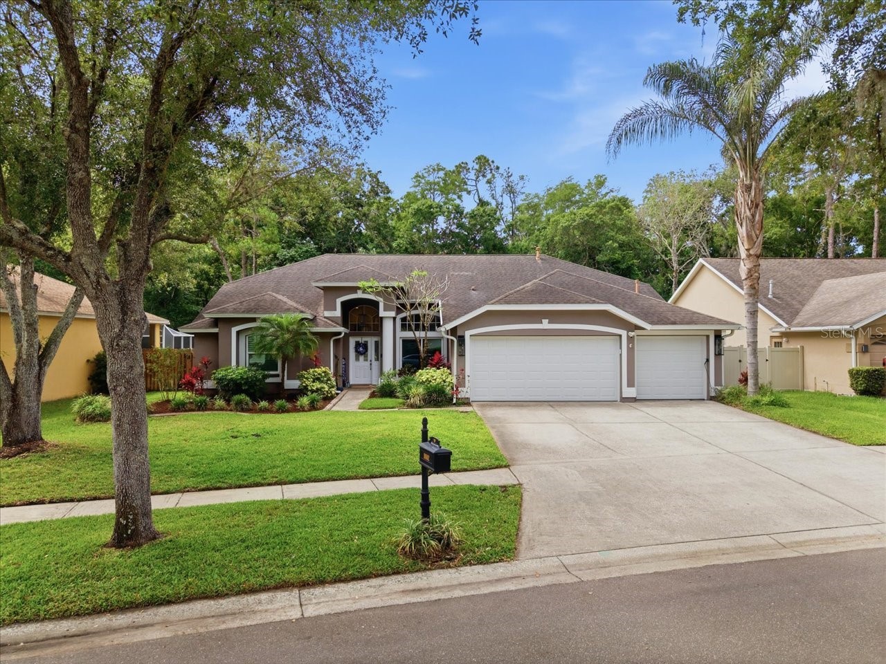 10602 Chambers Drive Tampa FL 33626 TB8504103 image1