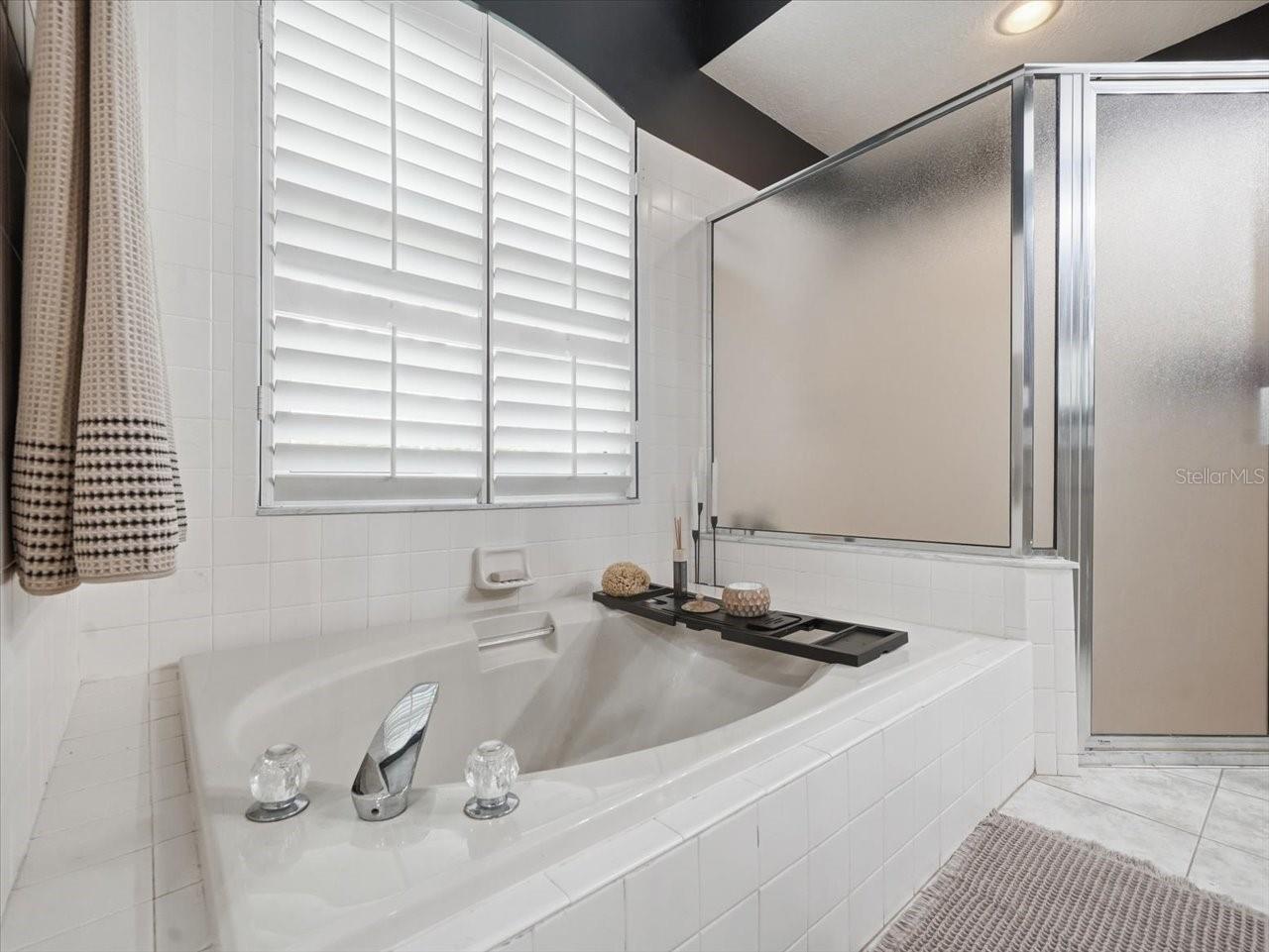 10602 Chambers Drive Tampa FL 33626 TB8504103 image29