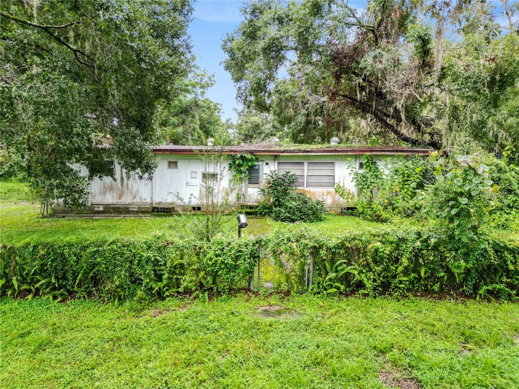 10603 2nd Street Thonotosassa FL 33592 L4955447 image1
