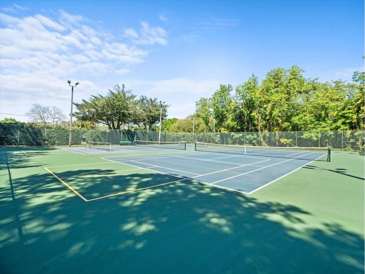 10603 Carrollbrook Way #10603 Tampa FL 33618 TB8489757 image36