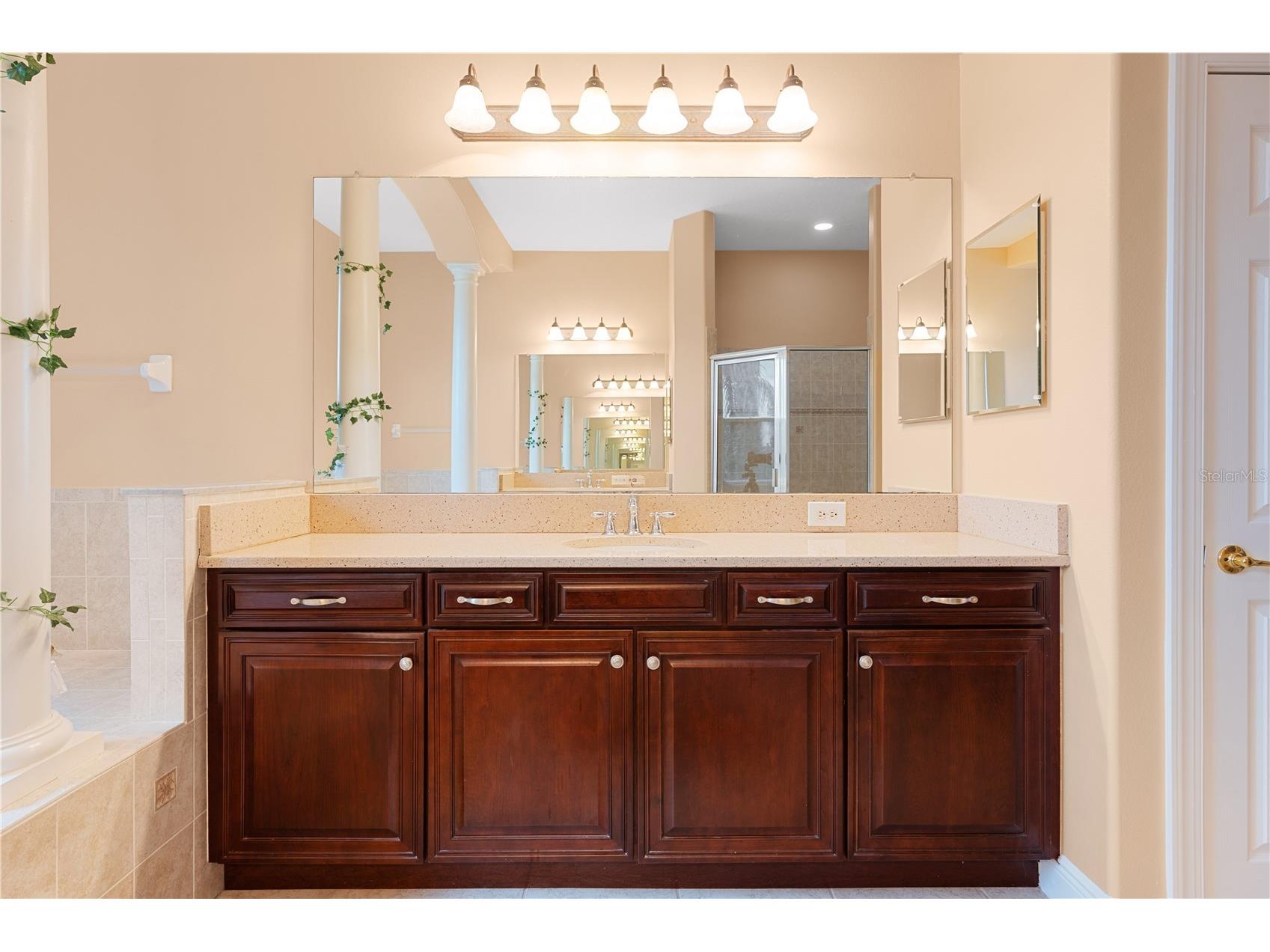 10603 Cayman Isle Court Tampa FL 33647 TB8506068 image61