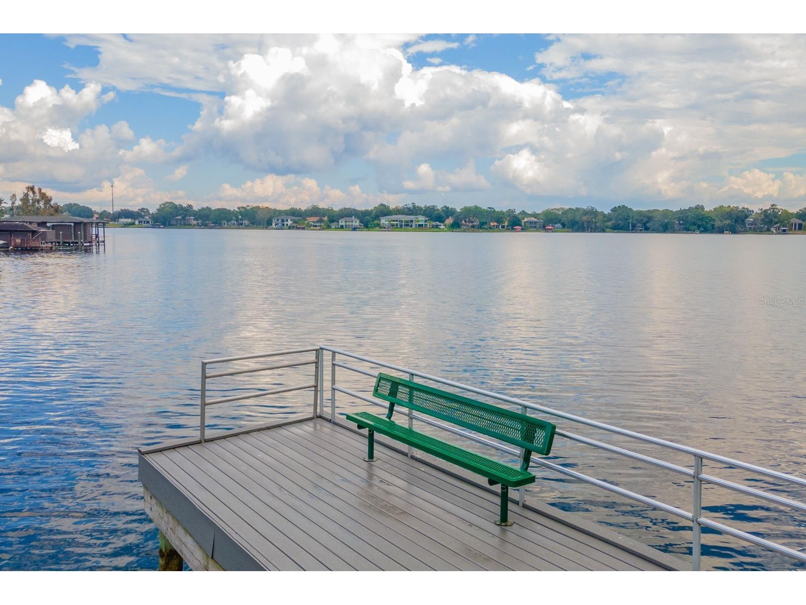 10603 Orange Grove Drive Tampa FL 33618 - LAKE CARROLL TB8526115 image63