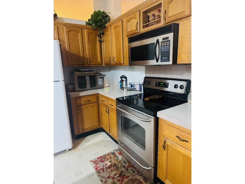 10603 Skewlee Gardens Drive Thonotosassa FL 33592 TB8448907 image10