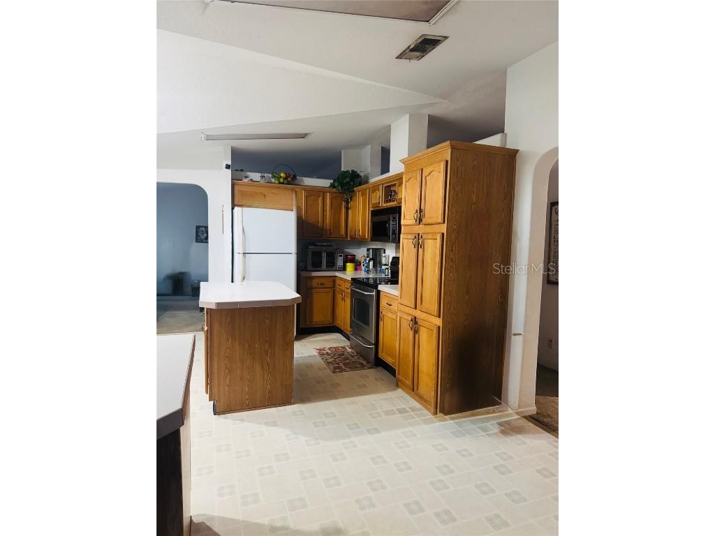 10603 Skewlee Gardens Drive Thonotosassa FL 33592 TB8448907 image11