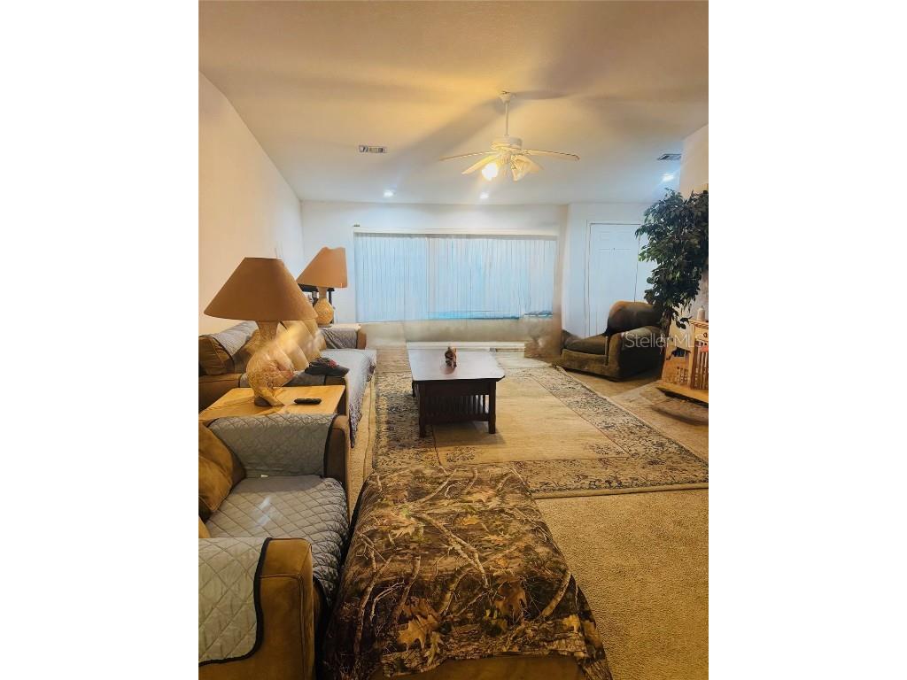 10603 Skewlee Gardens Drive Thonotosassa FL 33592 TB8448907 image14