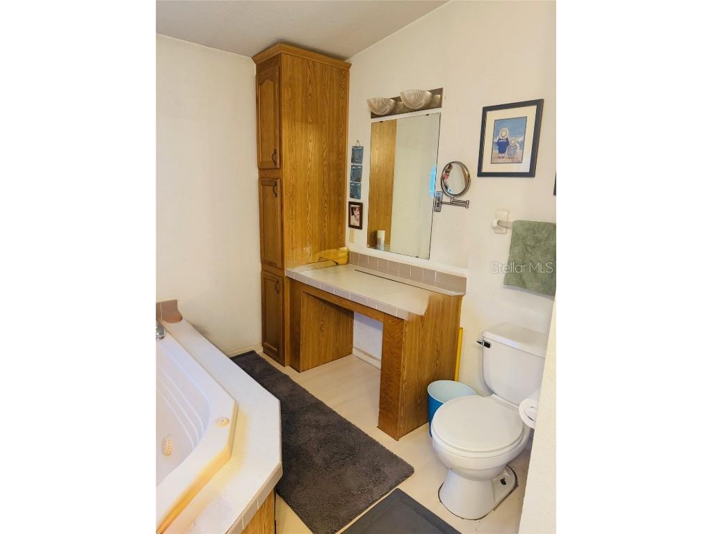 10603 Skewlee Gardens Drive Thonotosassa FL 33592 TB8448907 image20