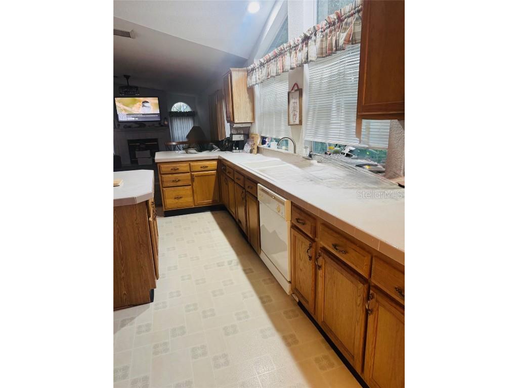 10603 Skewlee Gardens Drive Thonotosassa FL 33592 TB8448907 image7