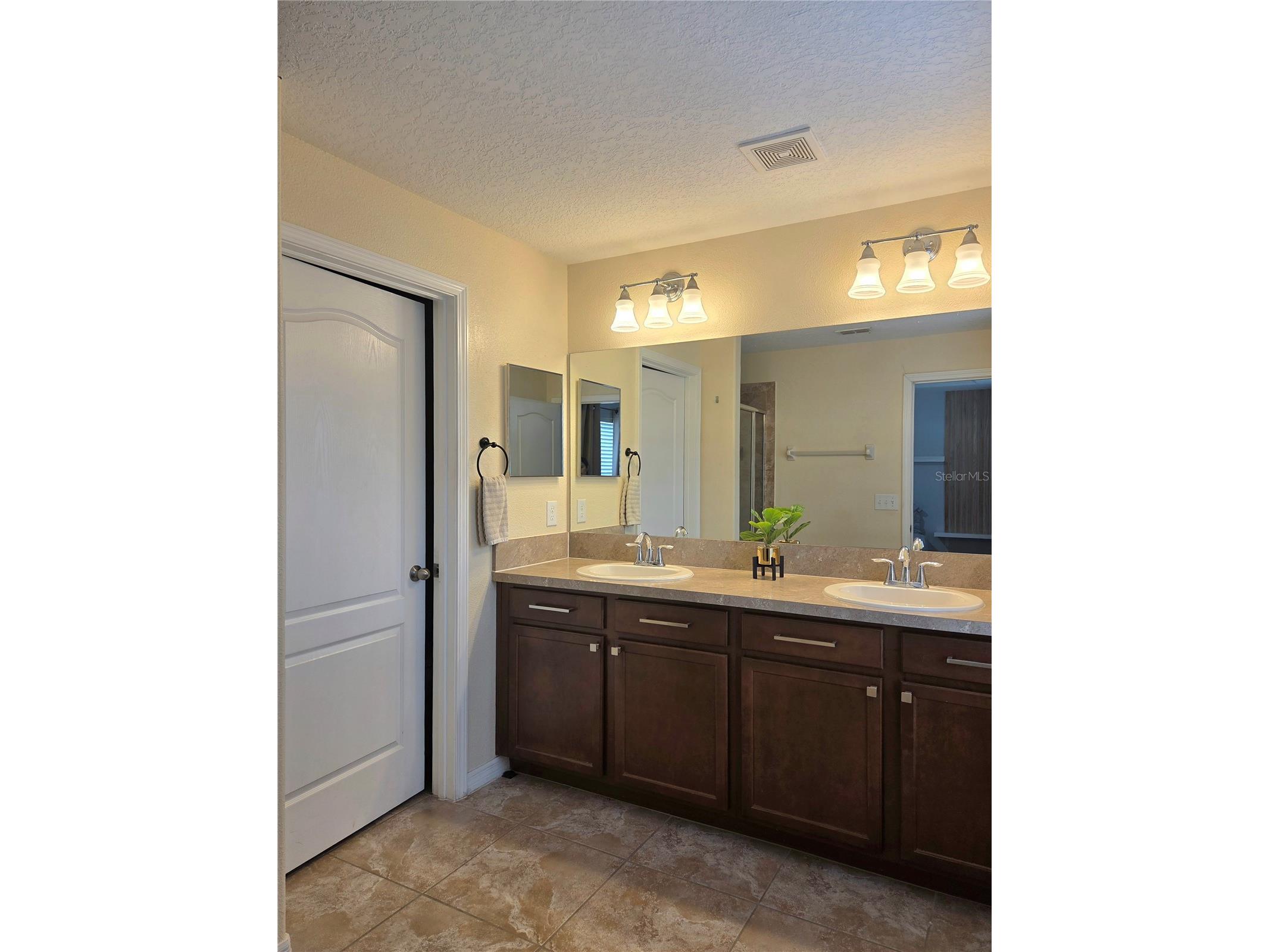 10604 Savannah Plantation Court Orlando FL 32832 O6392885 image19