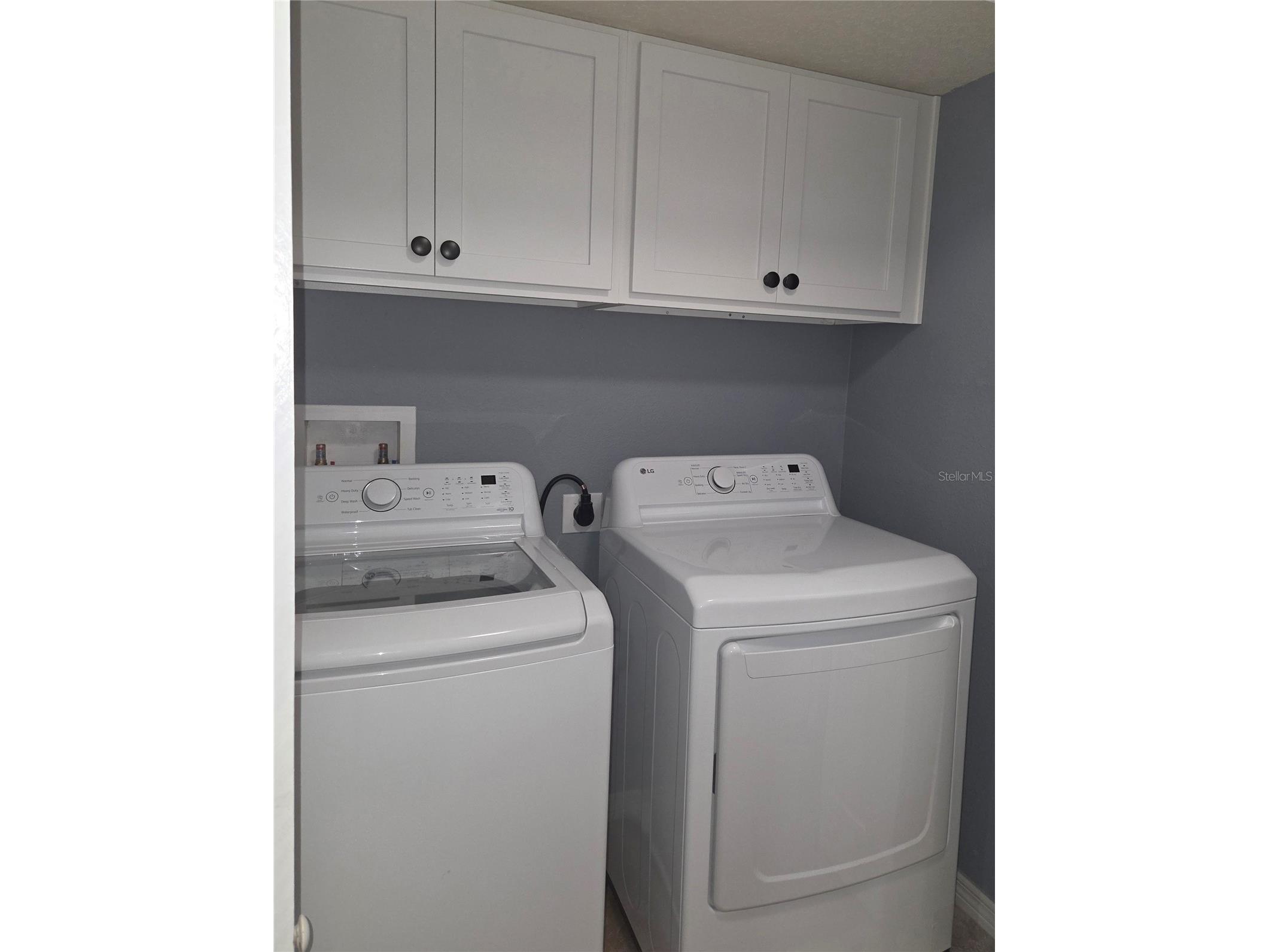 10604 Savannah Plantation Court Orlando FL 32832 O6392885 image26