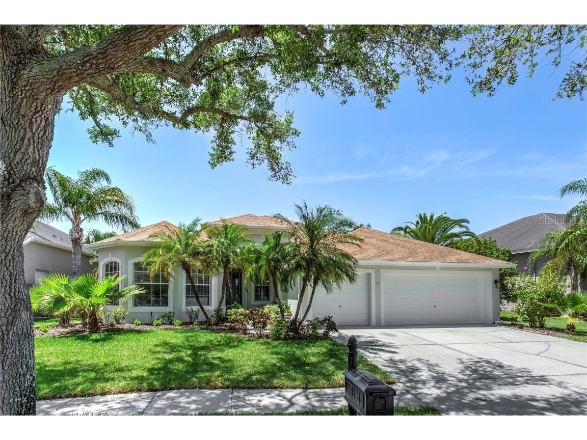 10604 Tavistock Drive Tampa FL 33626 T3515516 image1